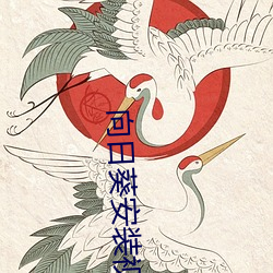 向(xiàng)日葵装置视(shì)频