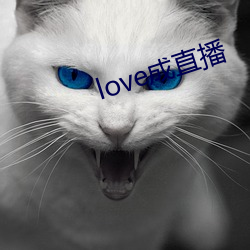 love成直(zhí)播