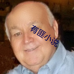有匪小说
