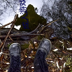 成人游戏排行榜
