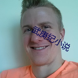 武庚紀小說