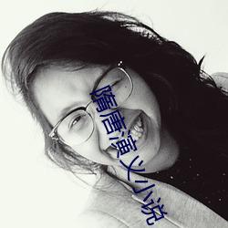 隋唐演义小(xiǎo)说