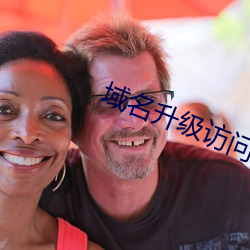 域名升级访问 （贿金）