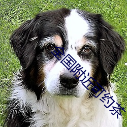 AG真人平台(中国)官方网站