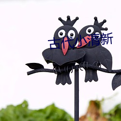 金年会(中国)官方网站