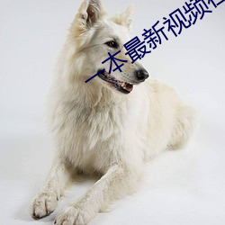 金年会(中国)官方网站