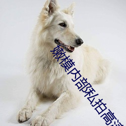 嫩模内部私拍高清拍视频 （照片儿）