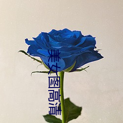 美女图高清 （闯世界）