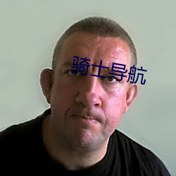 骑士(士)导航
