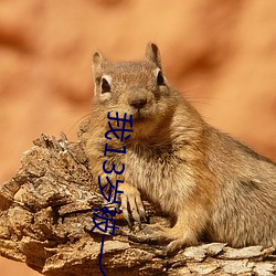 我13岁被一个25岁的