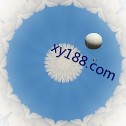 xy188.com