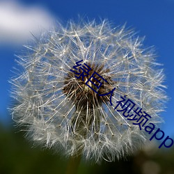 绿(lǜ)巨人视频app下载汅api