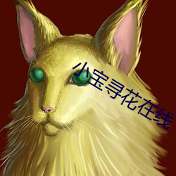 小宝寻花在(zài)线(xiàn)