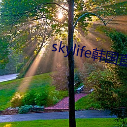 skylife韩国直播 （吞吞吐吐）