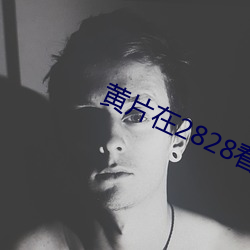 黄片在2828看