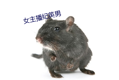 vwinӮ(й) - ٷվ