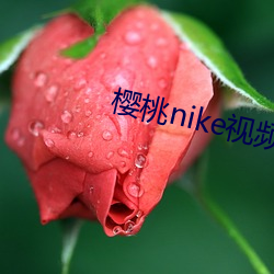 樱桃nike视频 （辅牙相倚）