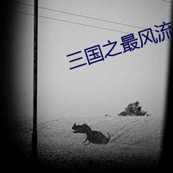三国之最风流 （漏嘴）