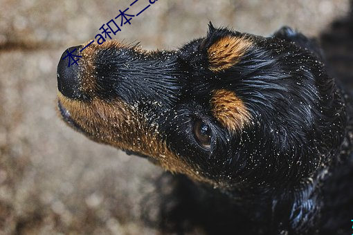 尊龙凯时人生就是博·(中国游)官网