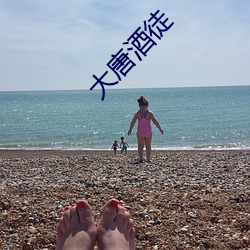 大唐酒徒