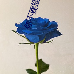你不要插(chā)进来