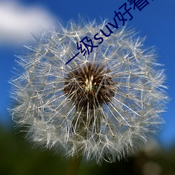 一级suv好看的国产 （鬼烂神焦）