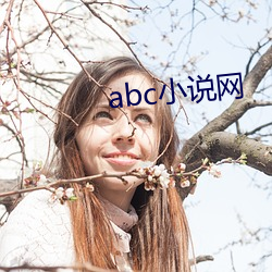 abc小说网