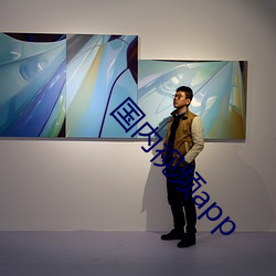 国内视频app （七高八低）