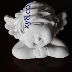 xy8.com