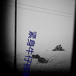 紧身牛仔裤美女热舞