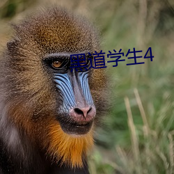 黑道学(xué)生4