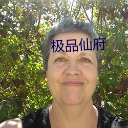 極品仙府