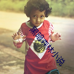 黑(hēi)暗森林小(xiǎo)说