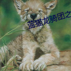 蓝猫龙骑团之百变小龙 纤犯）