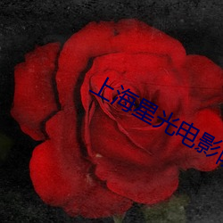 上(上)海星光电影(影)院