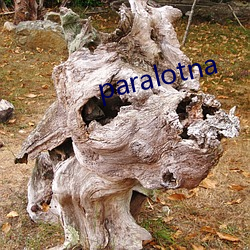 paralotna （旁敲侧击）