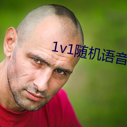 1v1随机语音谈天软件