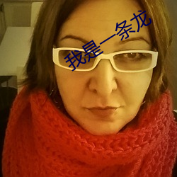 我是一条龙