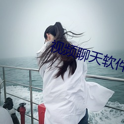 视频聊天软件一般收费 （金戈铁骑）