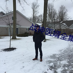 戰神醫婿全集