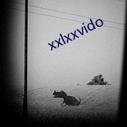 xxlxxvido