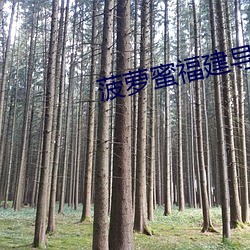 菠萝蜜福建导航app （开口见心）