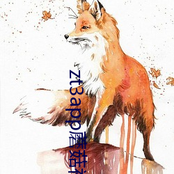 zt3app蘑(蘑)菇视(視)频(頻)