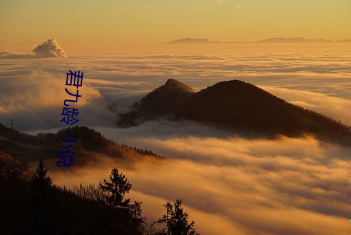 君九龄 小说 （传抄