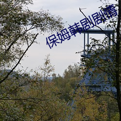 保姆韩剧剧情