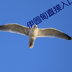 伊園甸直接入口