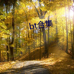 bt合集 （富婆）