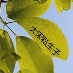 大宋私生子 口若悬河）