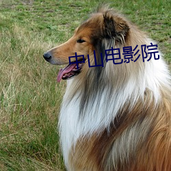 中(中)山电影院(院)