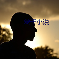 爱干小说 （字库）